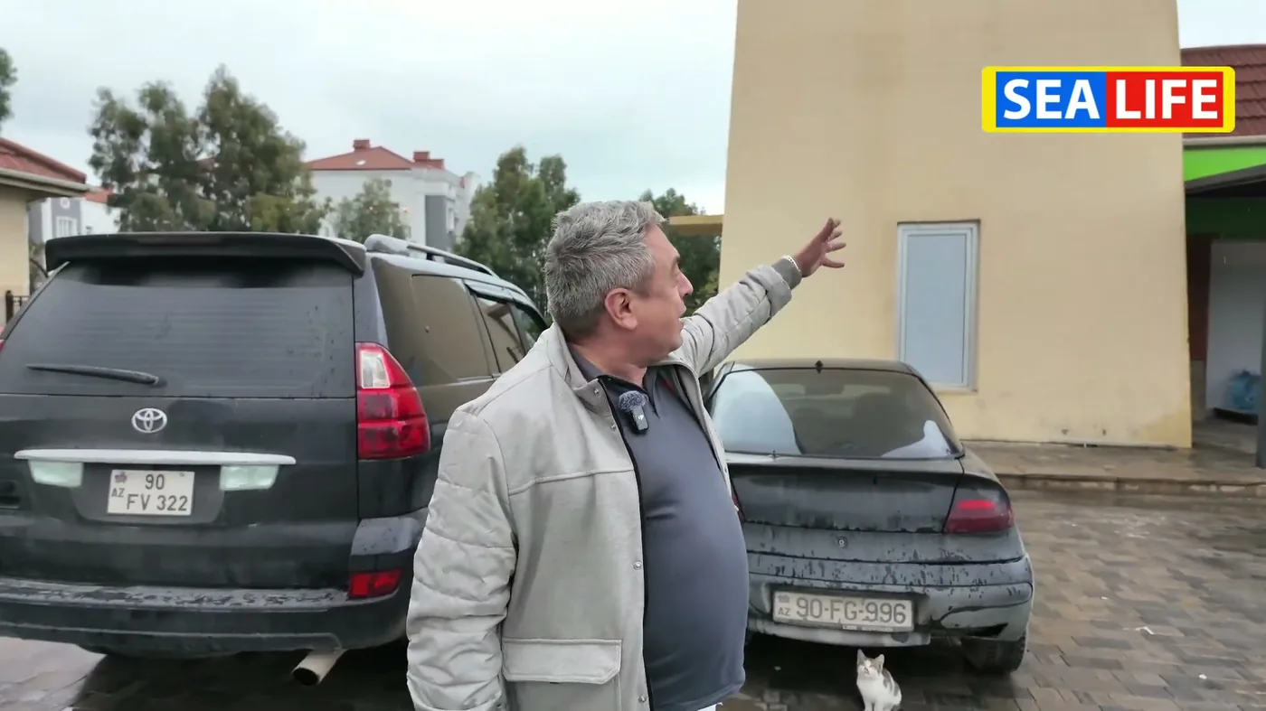 Маркет Bravo в Sea Breeze