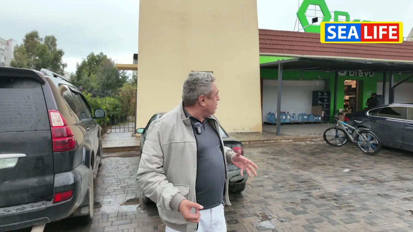 Mağaza vitrini